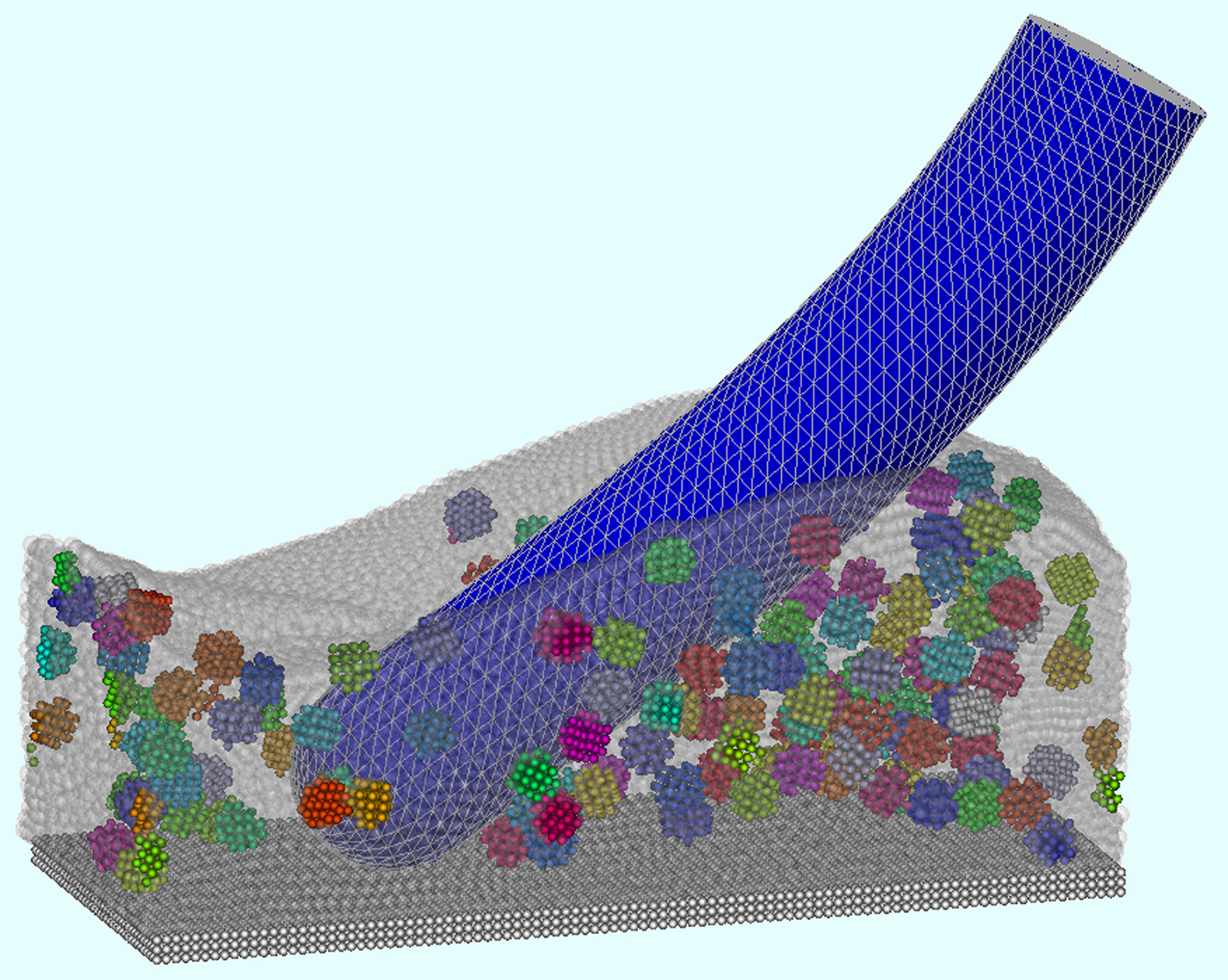 Borsten Entwicklung Simulation 