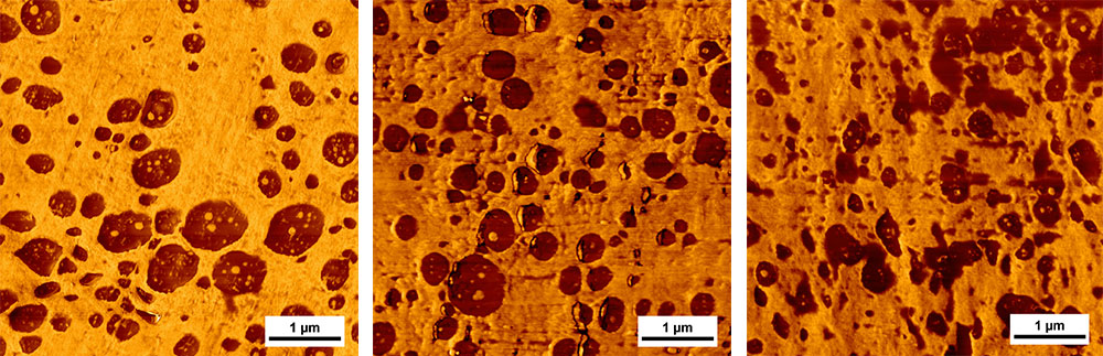 AFM-Phasenmorphologie und Phasenverteilungen