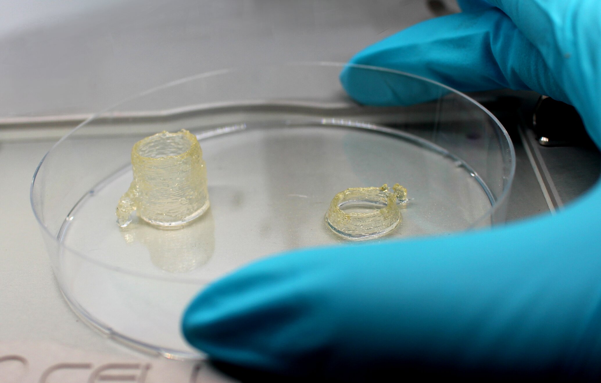 Biotinten als 3D-Objekt