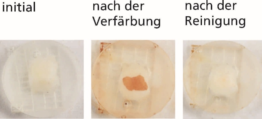 Photographic images of tooth enamel samples in their initial state, after discoloration and after cleaning. The samples were cleaned with a toothpaste containing cellulose.