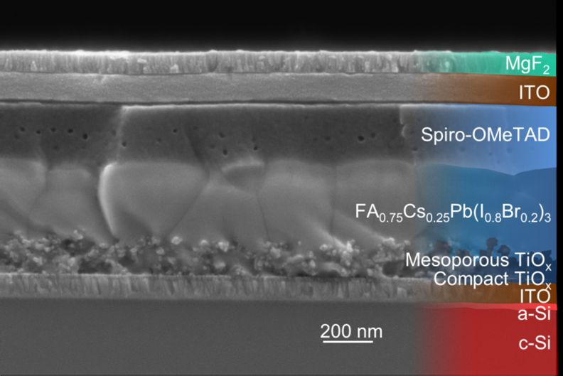Mikroaufnahme der Struktur einer Tandemzelle