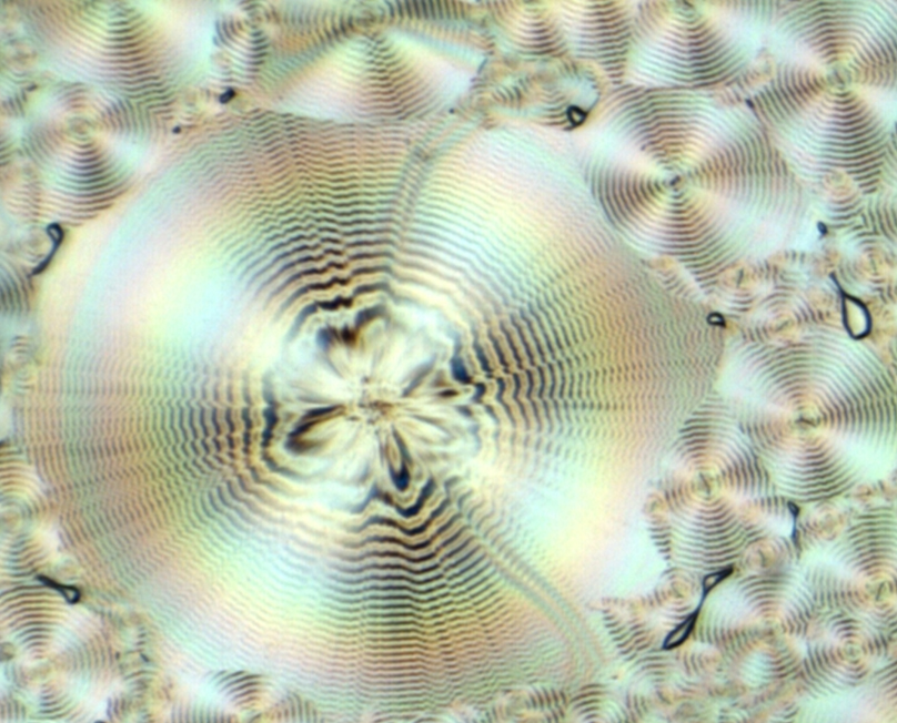 Polymer-Kristallstrukturen Kristall Polymer Polarisationsmikroskop