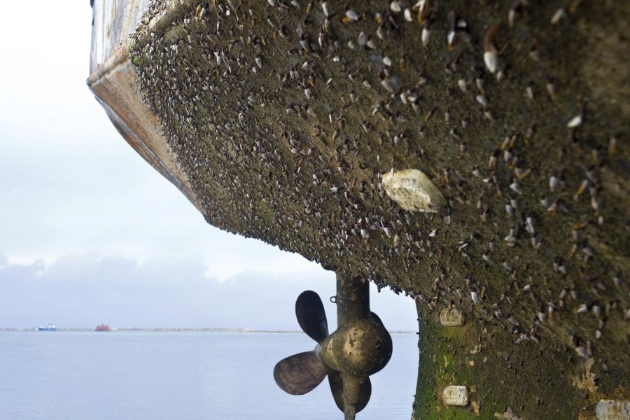marine fouling Antrieb