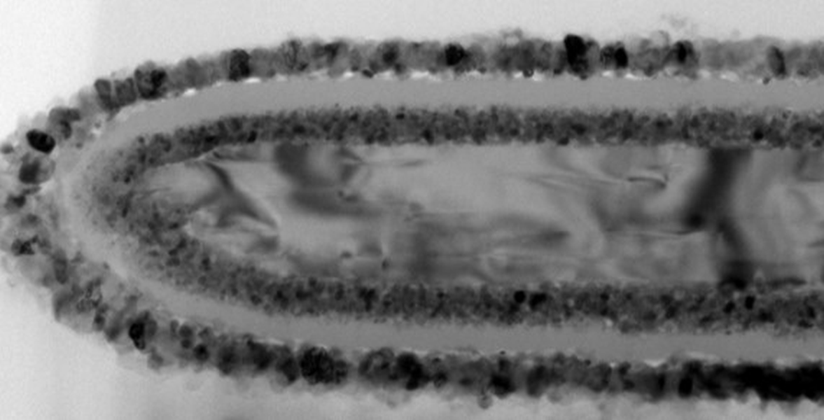 Farbpigment Lacke