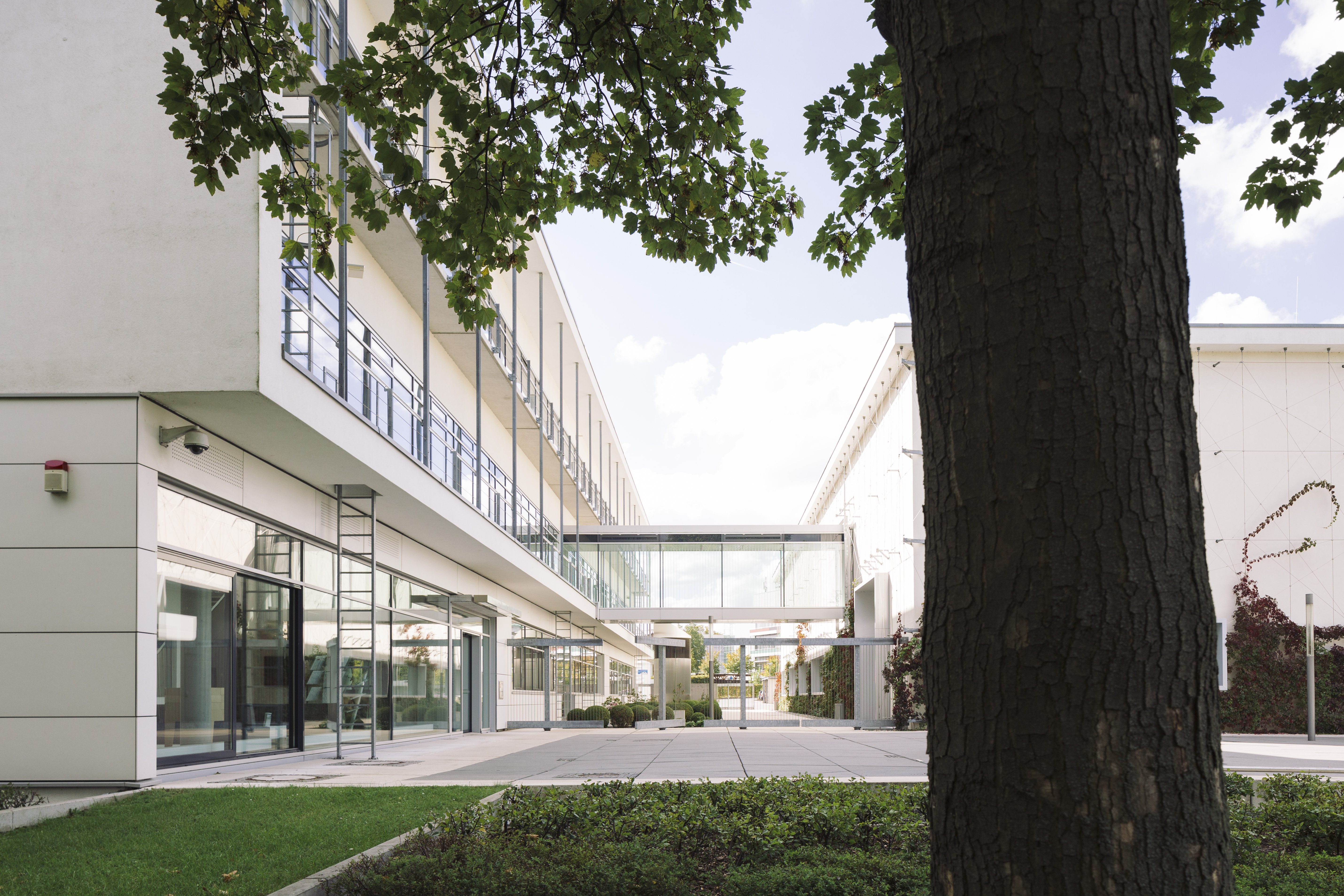 Fraunhofer IMWS Front