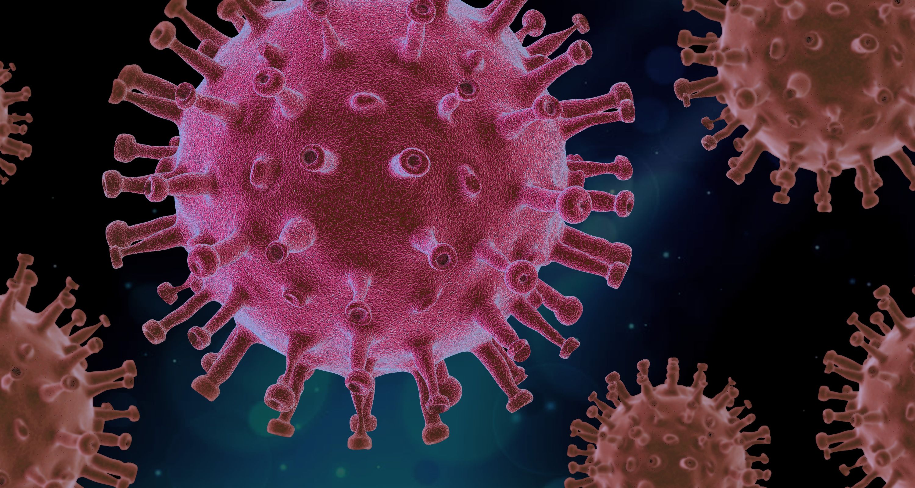 Coronavirus Coronavirus