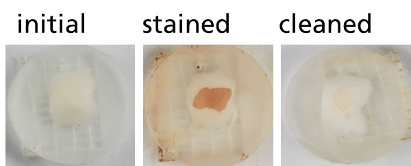 Photographic images of tooth enamel samples tooth enamel samples Fraunhofer IMWS