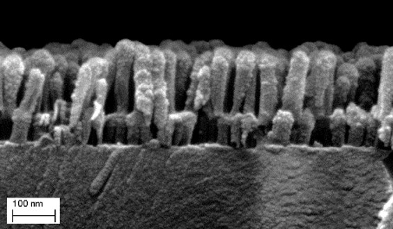 Nanostruktur Nanostruktur Optik REM